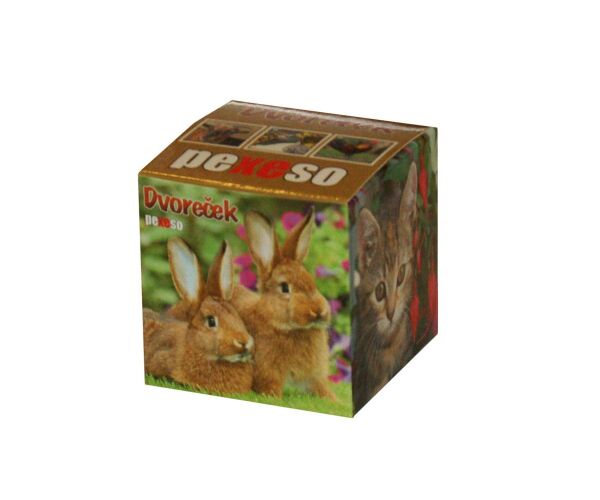 Pexeso Lux v krabičce - Dvoreček