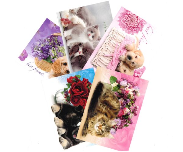 Pohlednice S-308 Kočky,Psi