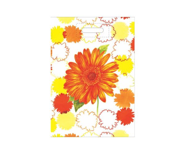 Taška PE s průhmatem Gerbera