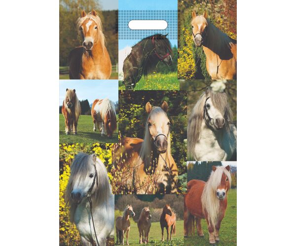 Taška PE s průhmatem Koně