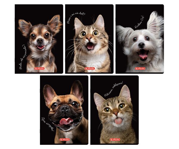 Sešit A5 60 listů Crazy Animal linkovaný.