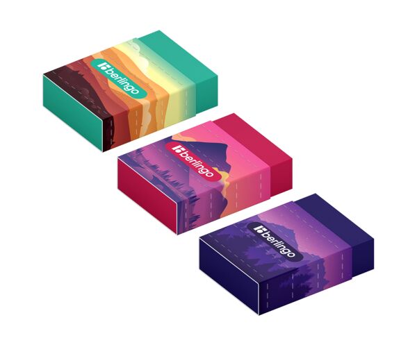 Pryž Berlingo SCENIC