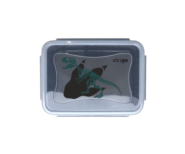 Box na svačinu STRIGO - NOISE