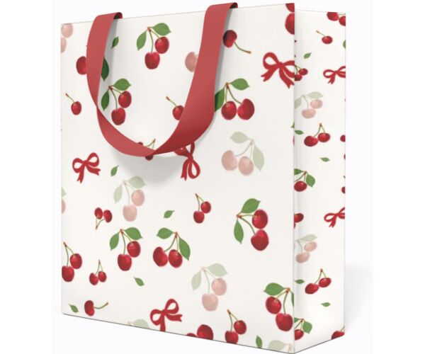 Papírová taška Anna Style CD TE7/265