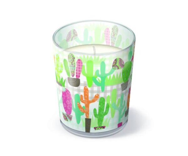Svíčka ve skle Cactus Garden
