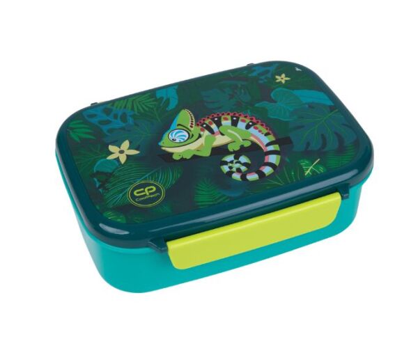 Box na svačinu s přihrádkami - TROPIC