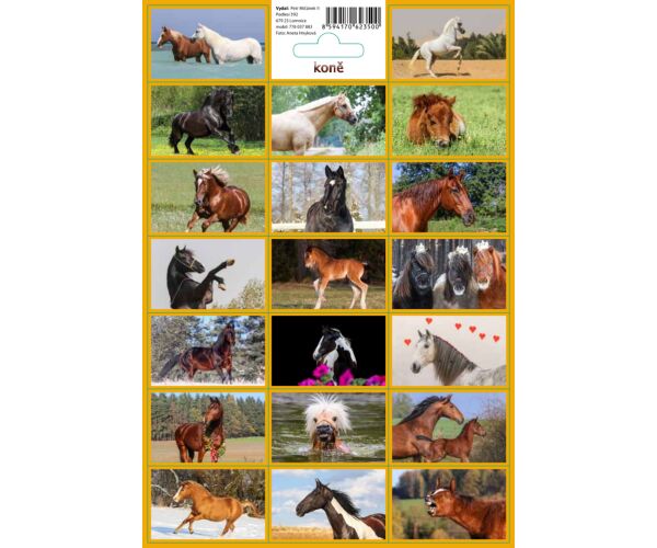 Samolepky Koně