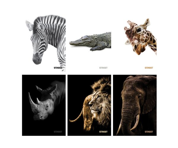 Sešit A5 54 listů Safari linkovaný