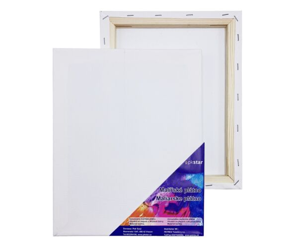 Plátno malířské 40 x 60 cm