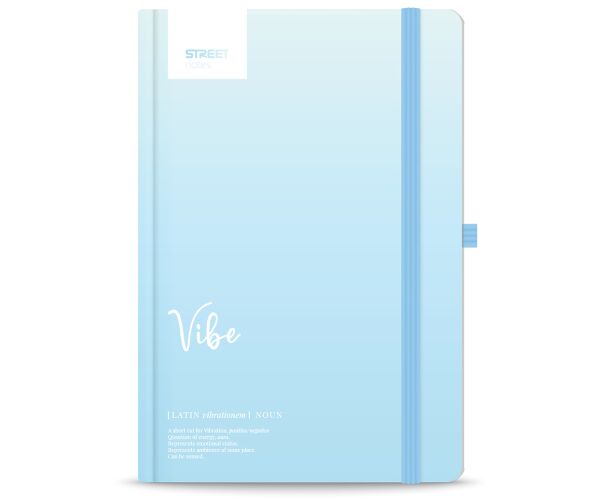 Blok DICTIONARY Vibe A5 linka s gumou