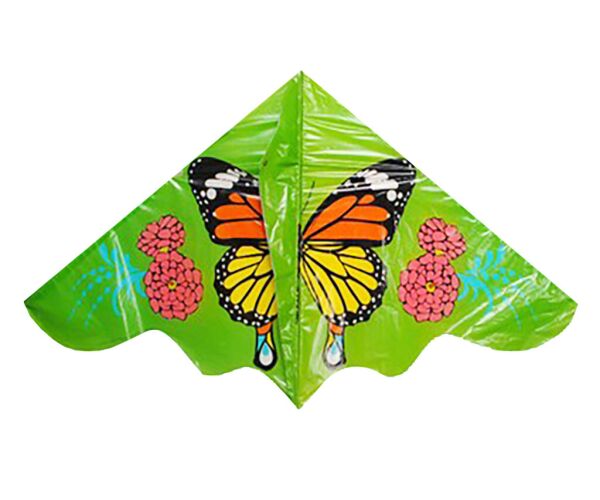 Létající drak 119209