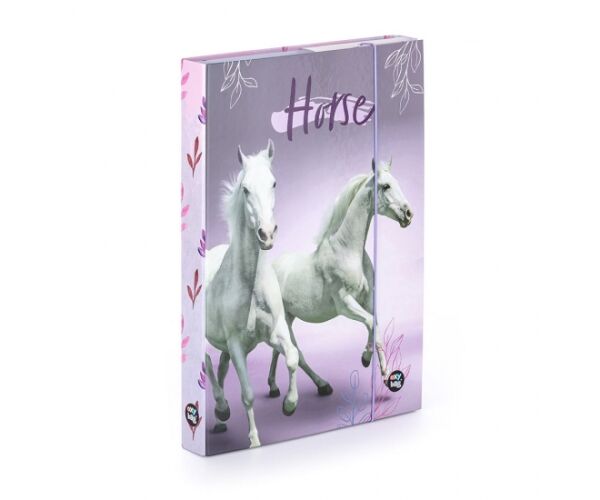 PP box A4 3-79722 KŮŇ