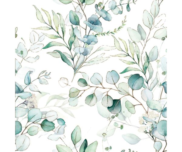 Ubrousky DAISY C (20ks) Eucalyptus Twigs