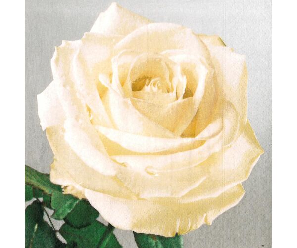 Ubrousky Paper Design L (20ks) Elina