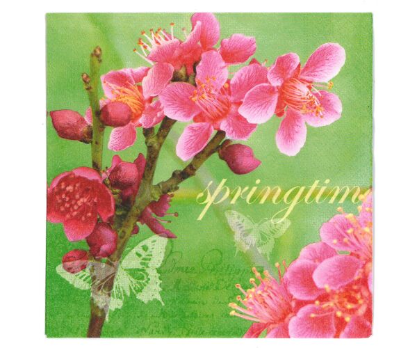 Ubrousky Paper Design L (20ks) Japanese blossom