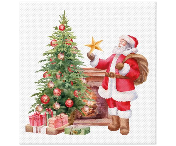 Ubrousky PAW Softpoint ( 20ks ) Winter Magic