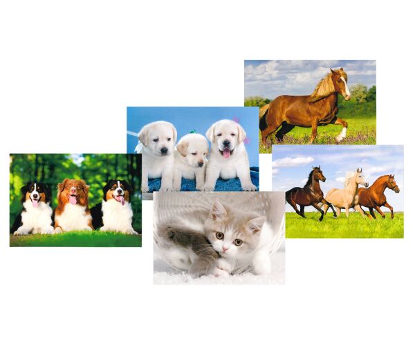 Pohlednice S-428 Zvířátka mix