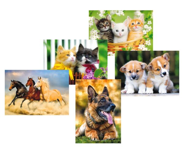 Pohlednice Zvířátka mix