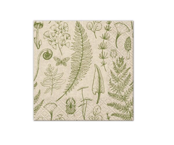 Ubrousky PAW Dekor C We Care (20ks) Forest Nature