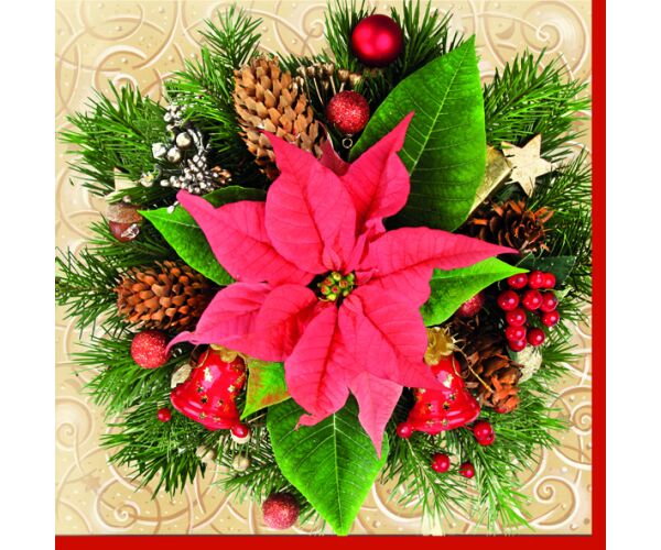 Ubrousky DAISY L (20ks) Red Poinsettia