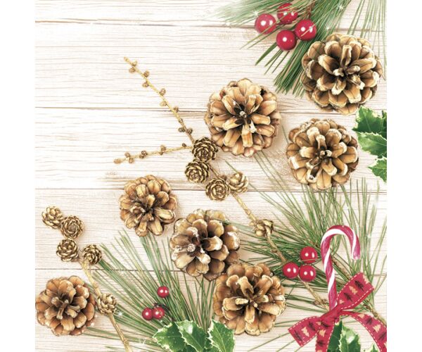 Ubrousky DAISY L (20ks) Pines and Larch Twig