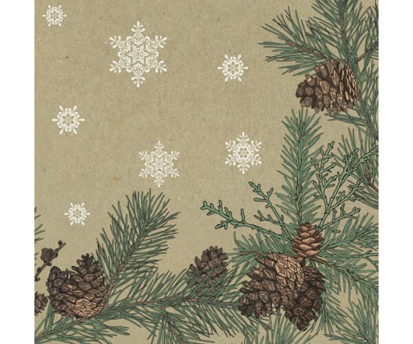 Ubrousky DAISY L (20ks) Graphic Pines & Twigs Frame on Kraft