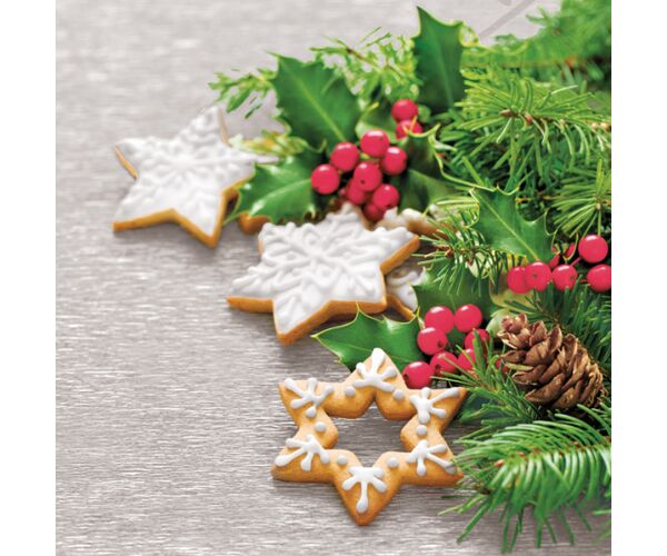 Ubrousky DAISY L (20ks) Winter Decor with Gingerbread Cookie