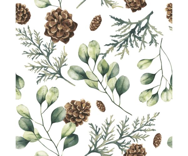 Ubrousky DAISY L (20ks) Eucalyptus with Cones