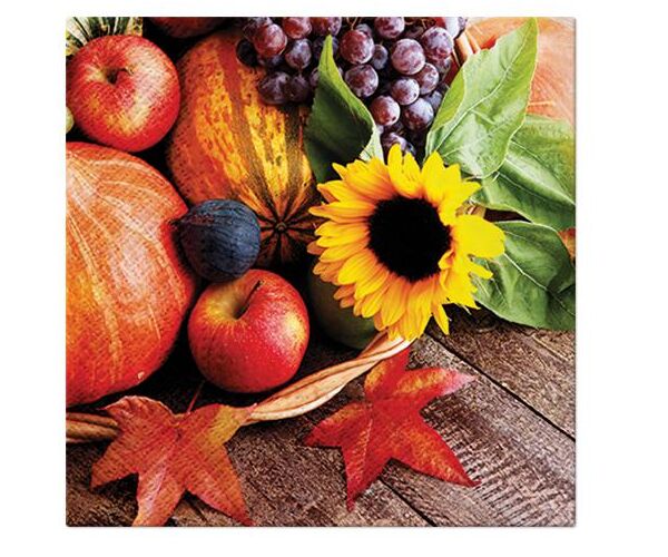 Ubrousky PAW Dekor L (20ks) Autumn Treasures