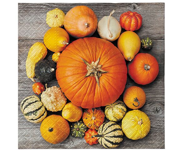 Ubrousky PAW Dekor L (20ks) Pumpkin Composition