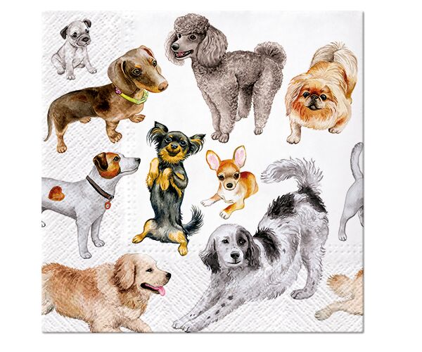 Ubrousky PAW Dekor L (20ks) Dogs Happiness