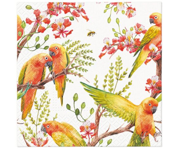 Ubrousky PAW Dekor L (20ks) Exotic Birds