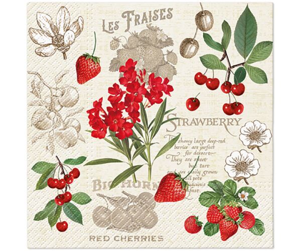 Ubrousky PAW Dekor L (20ks) Summer Fruits