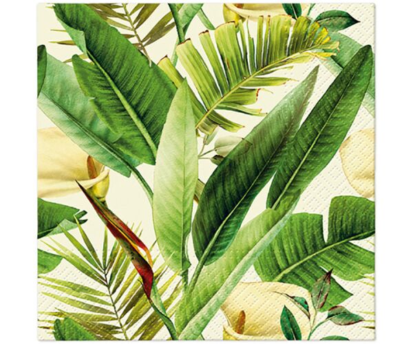 Ubrousky PAW Dekor L (20ks) Tropical Times