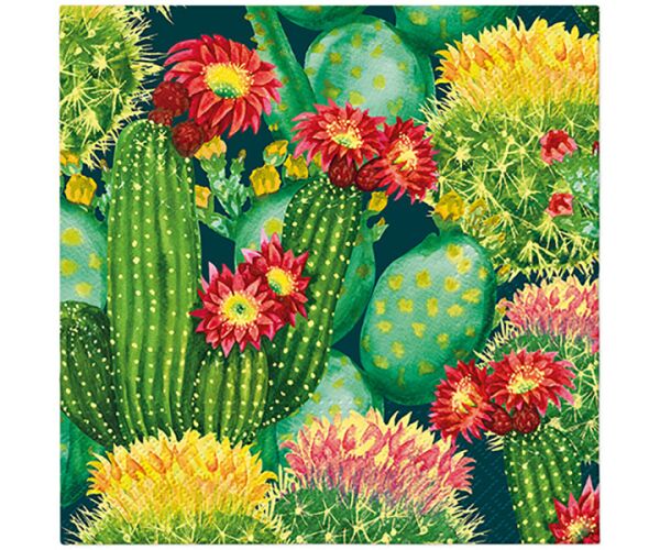Ubrousky PAW Dekor L (20ks) Vibrant Cacti