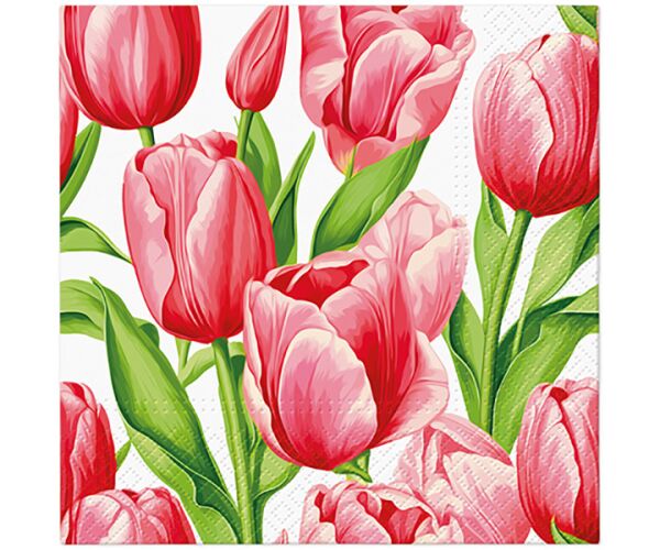 Ubrousky PAW Dekor L (20ks) Tulip Time