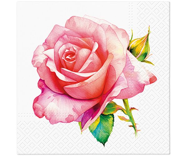 Ubrousky PAW Dekor L (20ks) Unique Rose