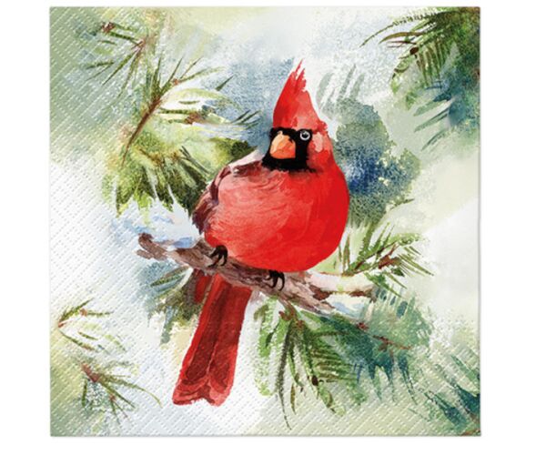 Ubrousky PAW Dekor L (20ks) Winter Cardinal