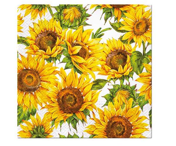 Ubrousky PAW Dekor L (20ks) Dancing Sunflowers