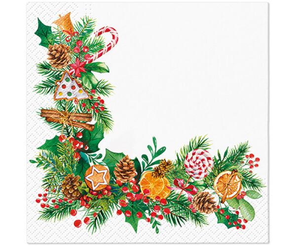 Ubrousky PAW Dekor L (20ks) Orange Scented Frame