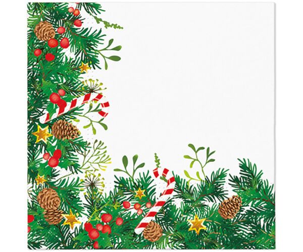 Ubrousky PAW Dekor L (20ks) Decorative Twigs