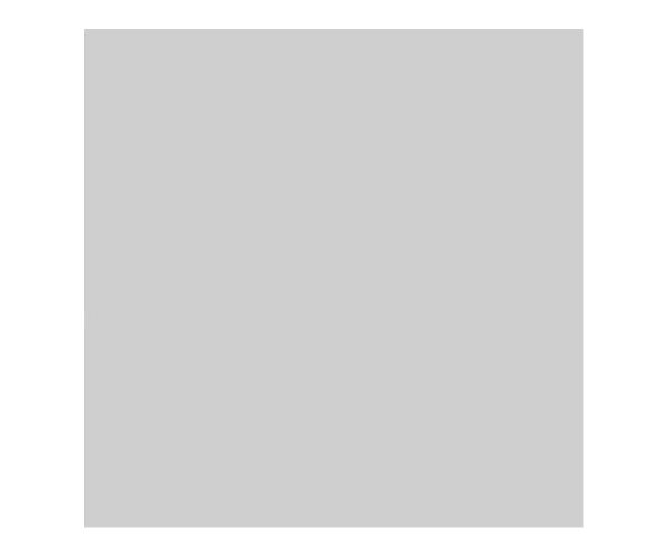 Ubrousky PAW Dekor L (20ks) Monocolor (silver)
