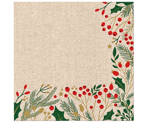 Ubrousky PAW Dekor We Care (20ks) Berries Frame
