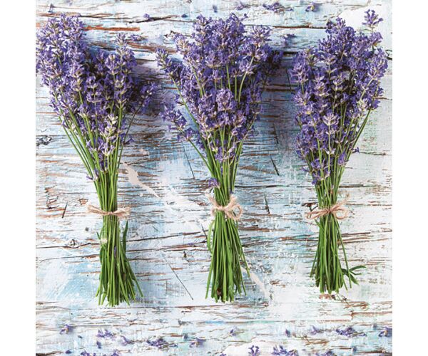 Ubrousky DAISY L (20ks) Three Bunches of Lavender