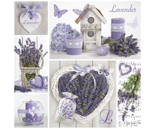 Ubrousky DAISY L (20ks) Lavender Collage