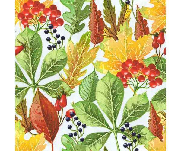 Ubrousky DAISY L (20ks) Rowanberry and Forest Leaves