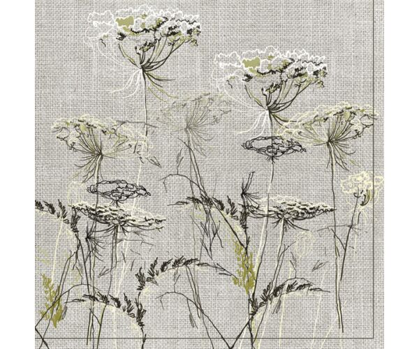Ubrousky DAISY L (20ks) Achillea Sketch on a Linen Background