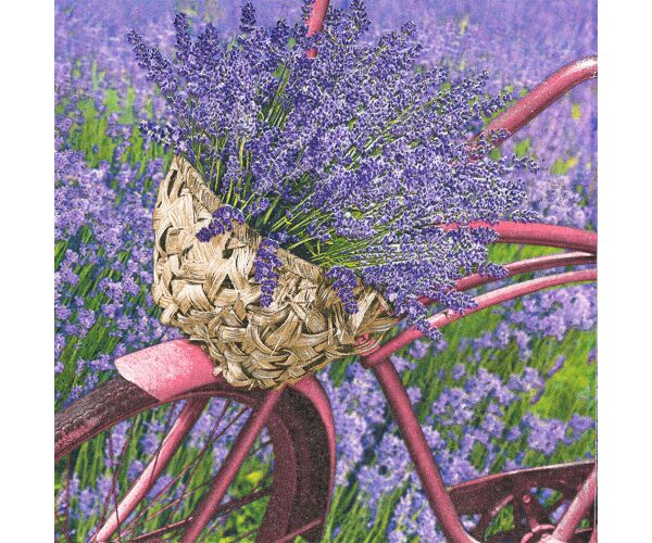 Ubrousky DAISY L (20ks) Lavender Bicycle