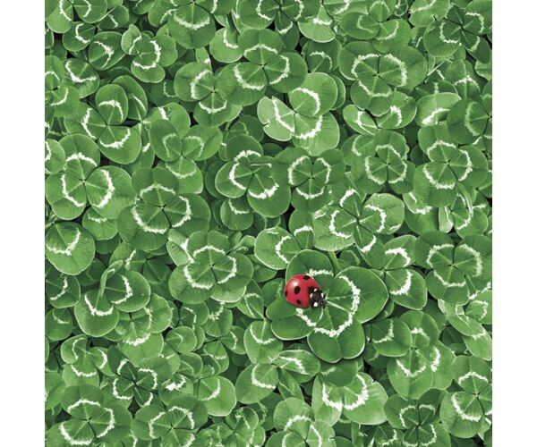 Ubrousky DAISY L (20ks) Clover Background with Ladybug
