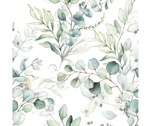 Ubrousky DAISY L (20ks) Eucalyptus Twigs